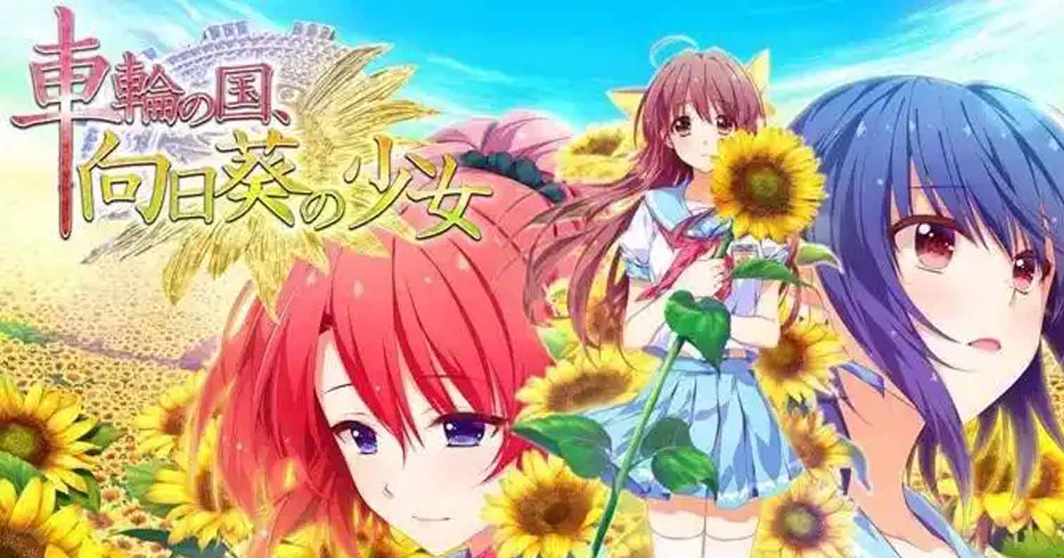 【PC硬盘】车轮之国，向日葵的少女-后宫