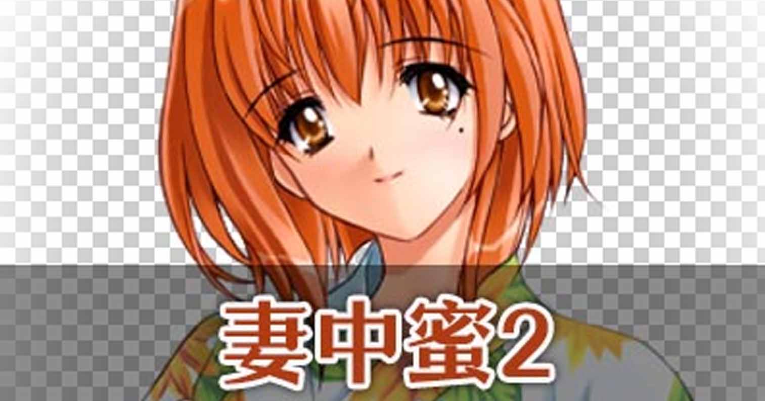 【PC硬盘】妻中蜜2/妻みぐい2-后宫