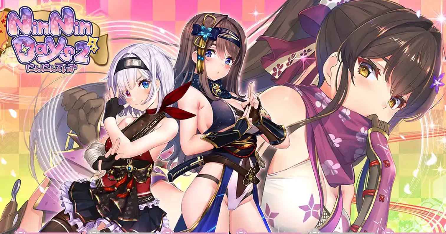 【PC硬盘】【官中】NinNinDays2-后宫