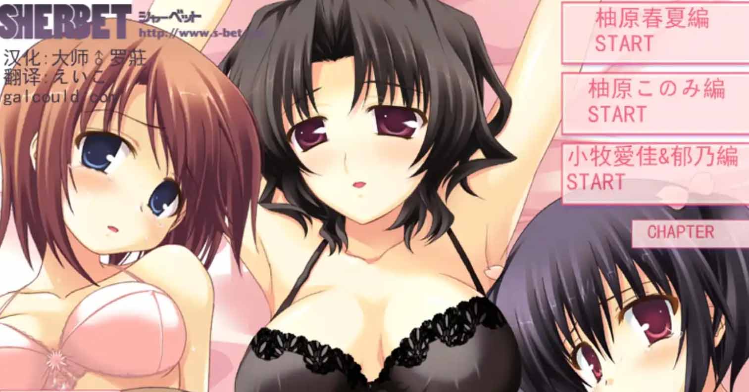 【PC硬盘】心之彼端2 另一个玩偶／ToHeart2 Another Dolls-后宫