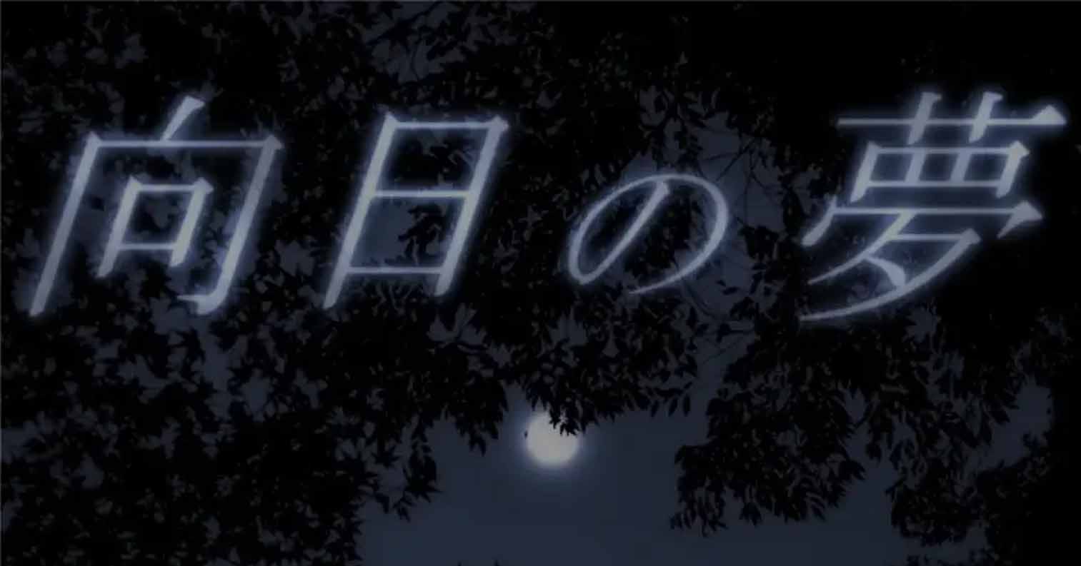 【PC硬盘】彼岸之梦/向日の夢-后宫